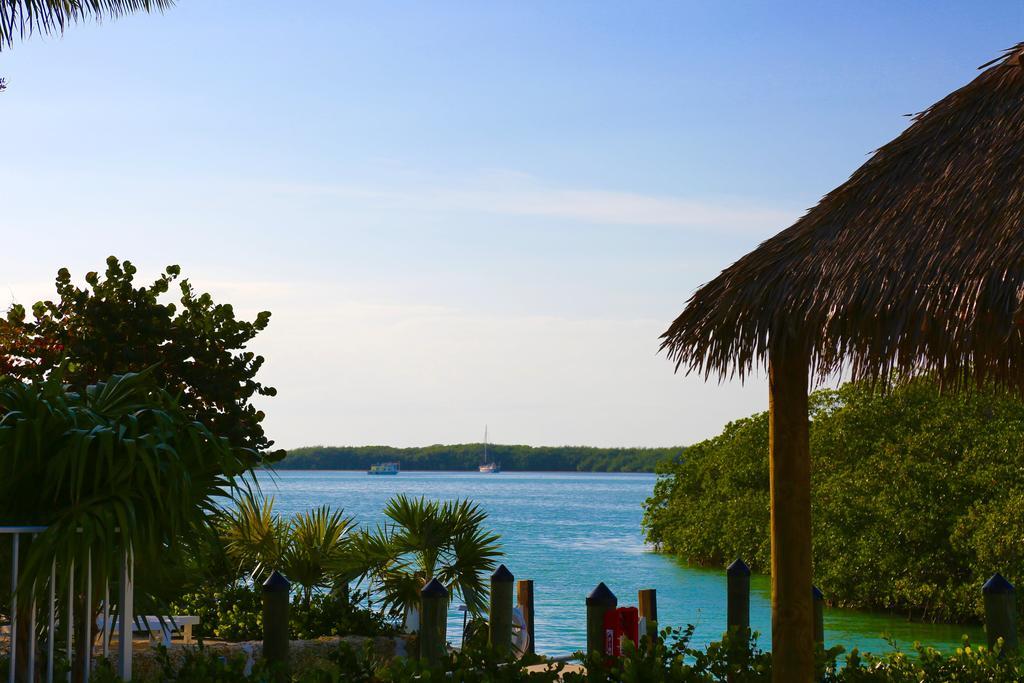 Little Basin Villas Islamorada Exteriör bild